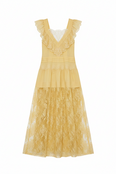 Sheer Lace Overlay Maxi Dress