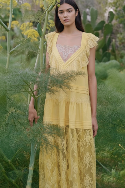 Sheer Lace Overlay Maxi Dress
