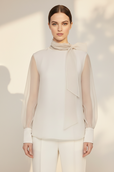High-neck Sheer Sleeve Blouse