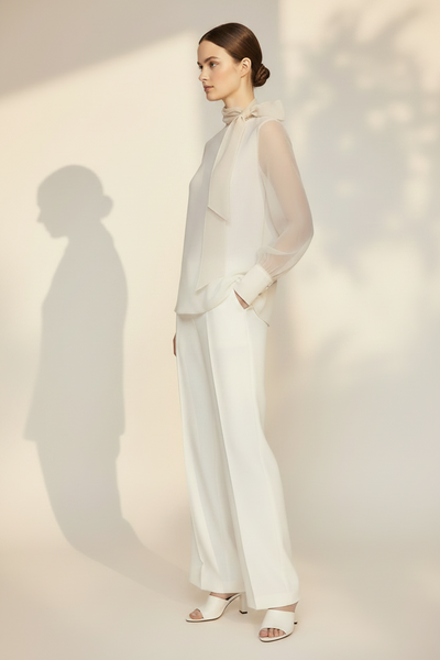 High-neck Sheer Sleeve Blouse