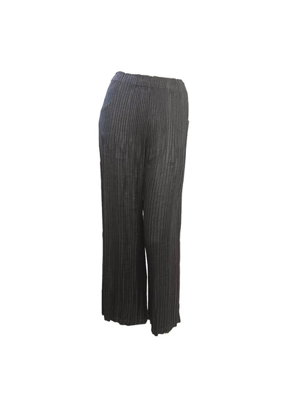Wide Leg Pleated Pants