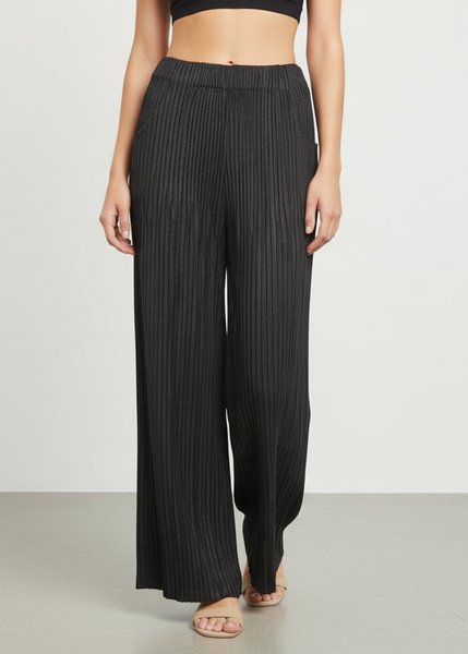 Wide Leg Pleated Pants