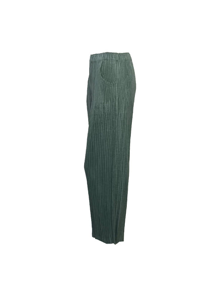 Wide Leg Pleated Pants