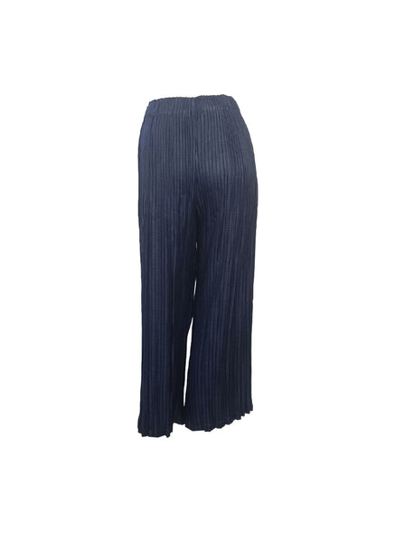 Wide Leg Pleated Pants