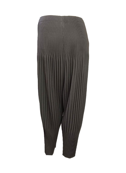 Tapered Pleated Pants