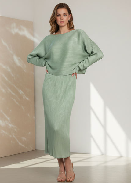 Crop Top & Skirt Pleated Top