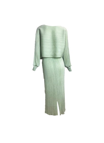 Crop Top & Skirt Pleated Top