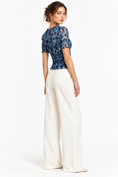 Short Sleeves Crinkled Top