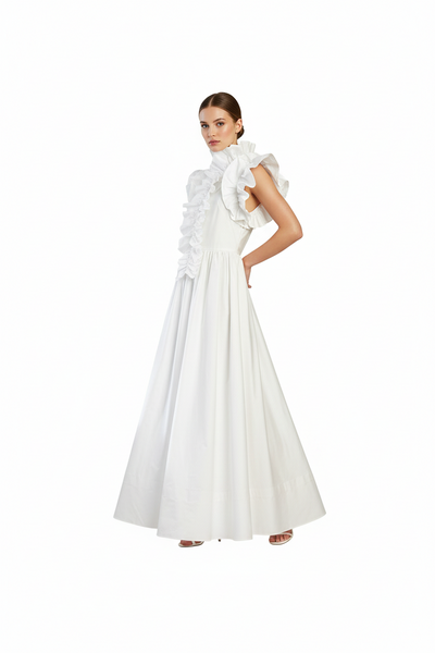 Ruffles Sleeves Long Dress