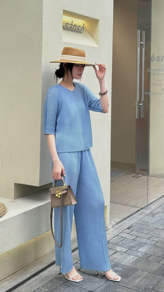 3250083 Short Sleeved Pleats Top