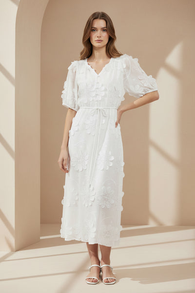 Floral Applique A-line Dress